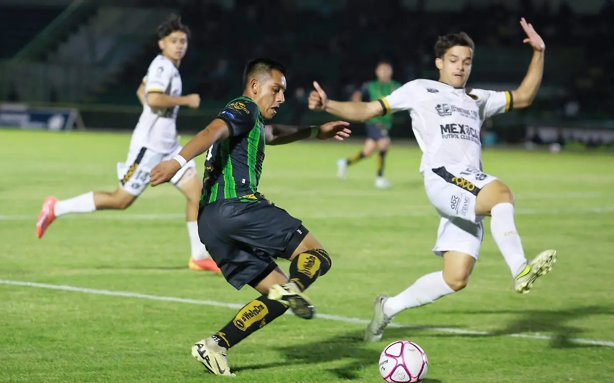 Goleada ponzoñosa en el nido