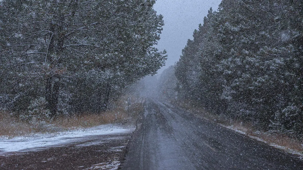 Fotógrafos retratan a Durango bajo la nieve [GALERÍA]
