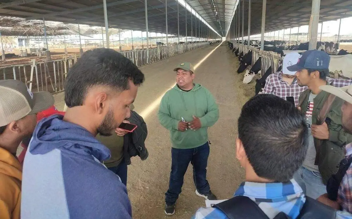 FAZ UJED cierra semana intensa de actividad