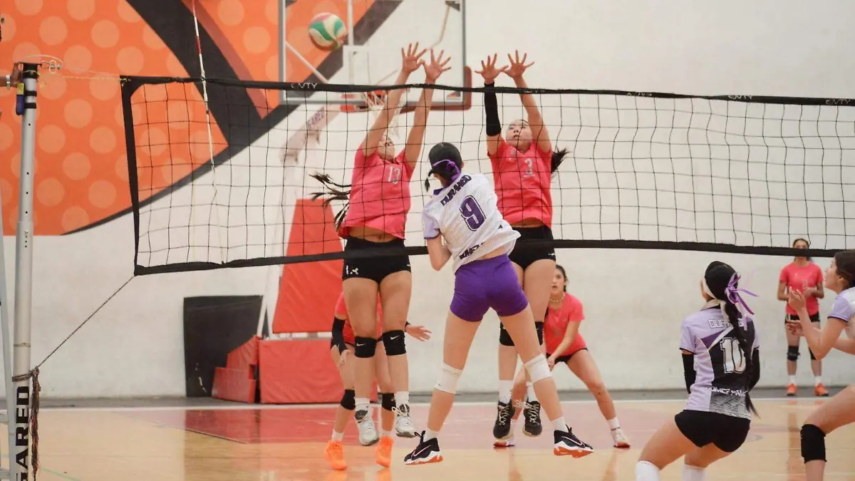 WhatsApp Image 2024-03-03 at 14.31.30 (1)