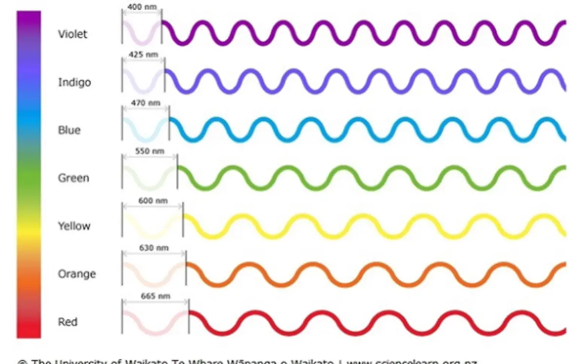 Orquesta del sonido y la luz #2