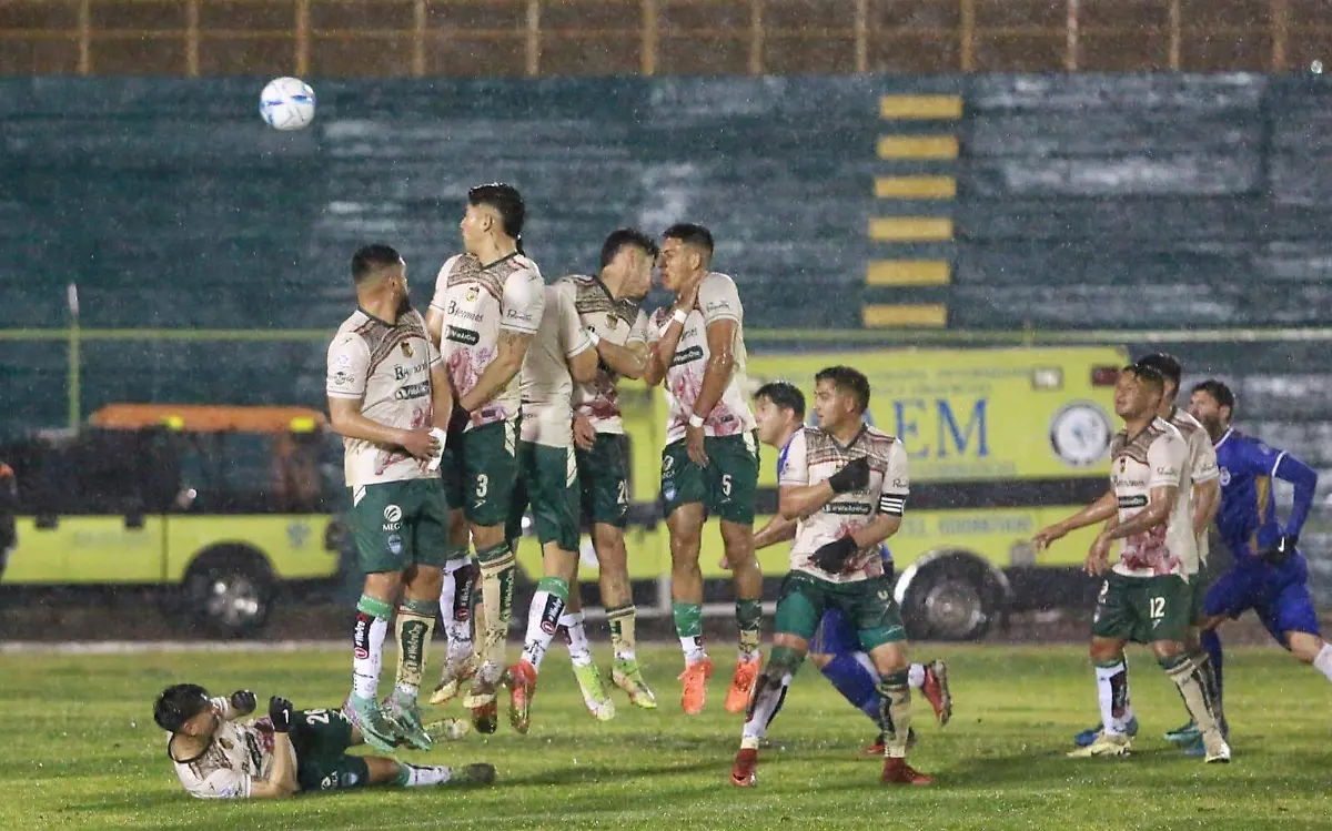 Triunfo lluvioso en el nido