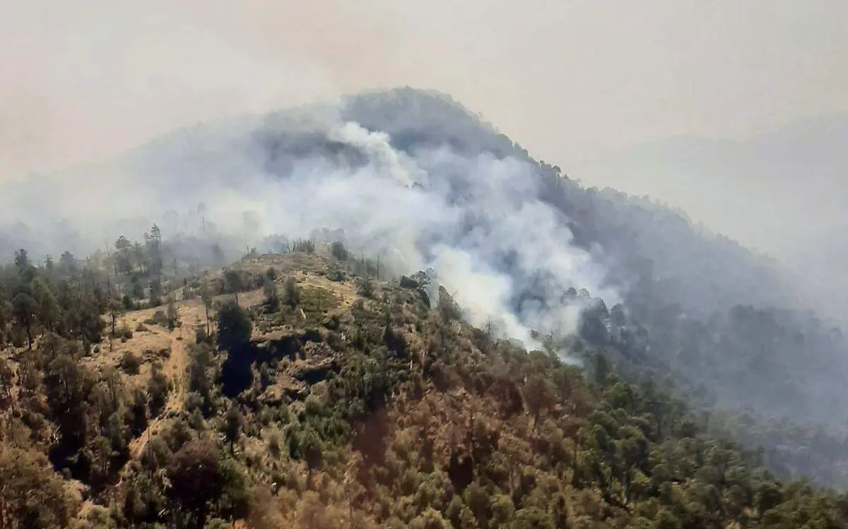 Controlados incendios forestales en San Dimas