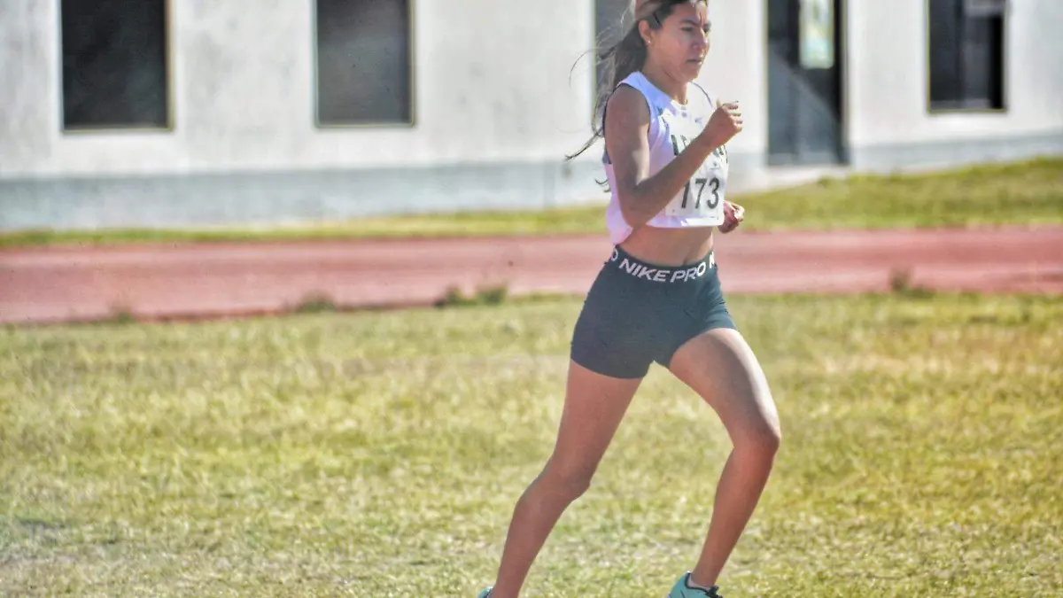 Como gacelas en la pista