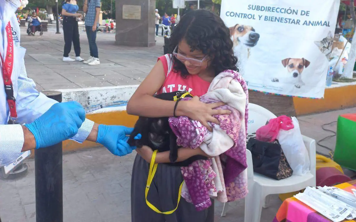 Ayuntamiento de Gómez Palacio invita a adoptar una mascota