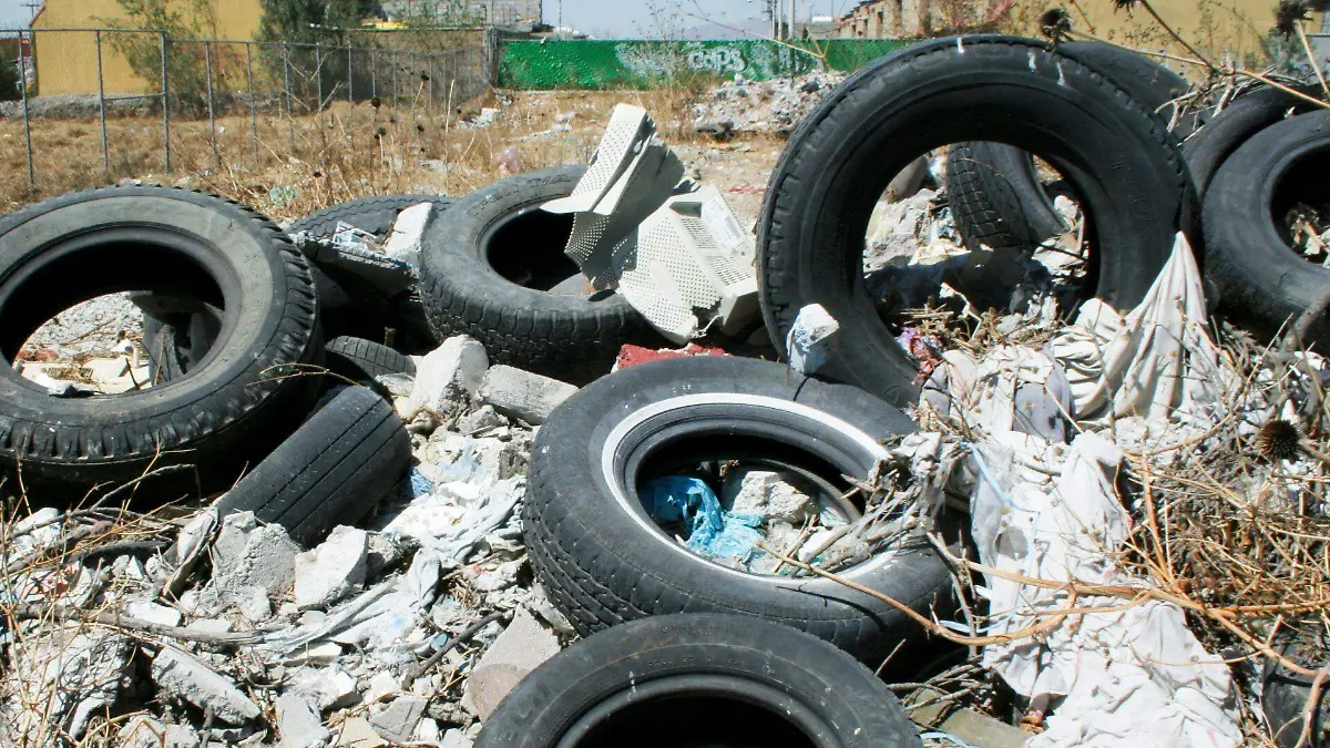 197171_Basureros Clandestinos1_web