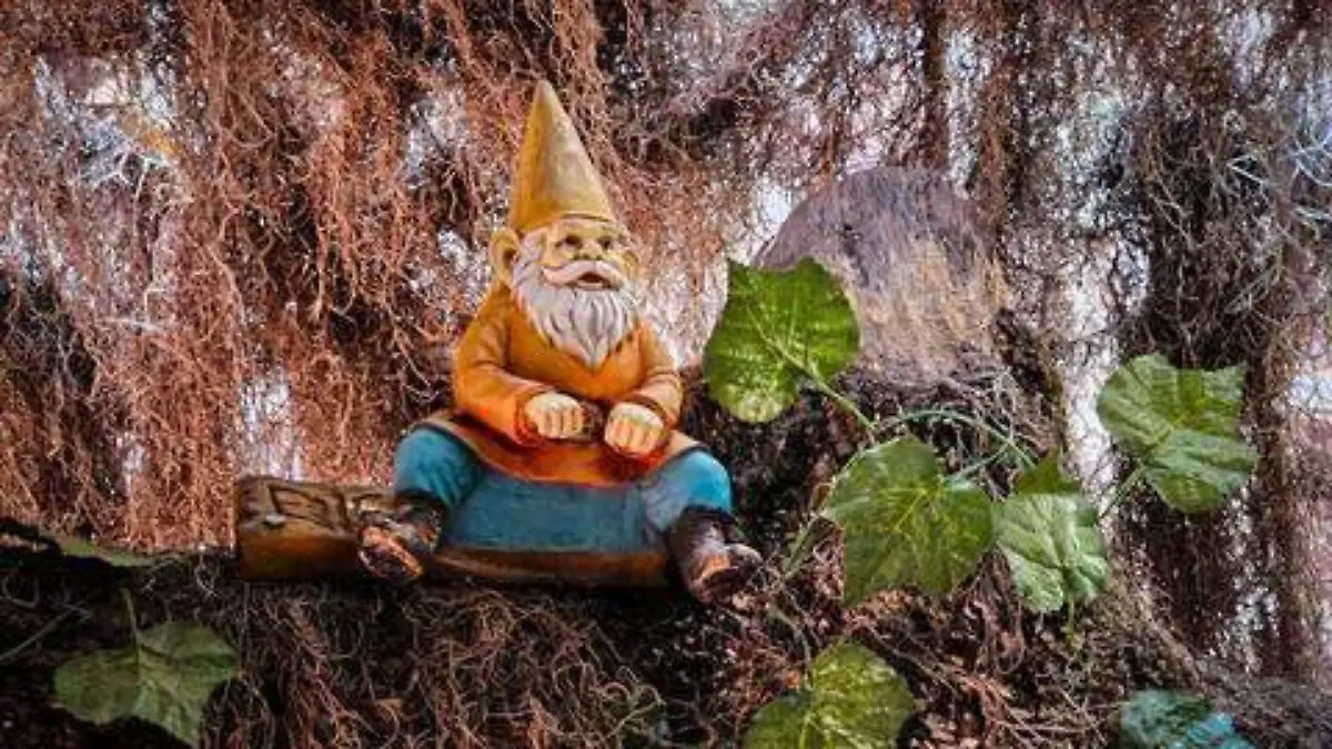 Duende en la colonia Morga