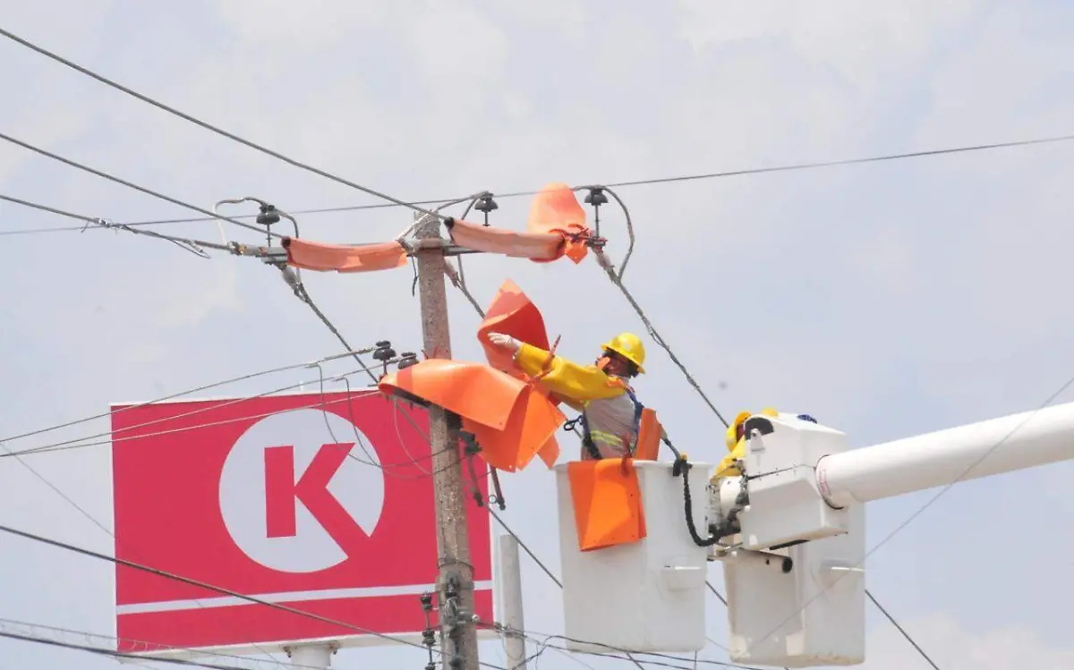 Para poder exigir a las dependencias hay que pagar la luz: Pedro Gutiérrez