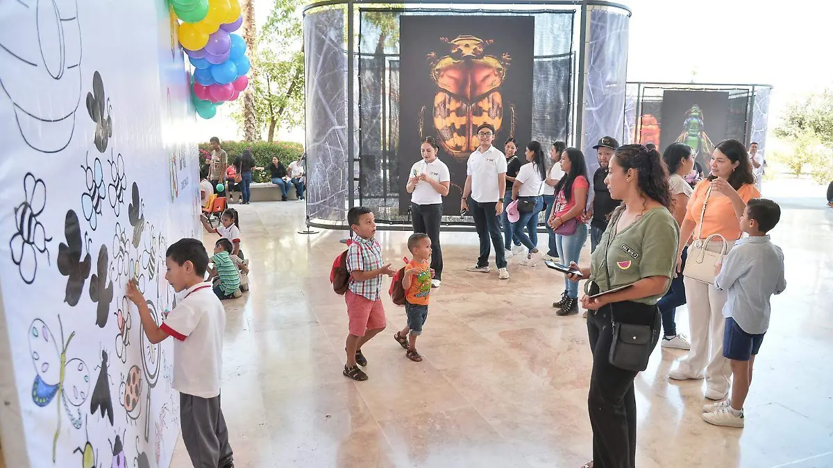 Inauguran la exposición INSECTUS que ya está en La Laguna