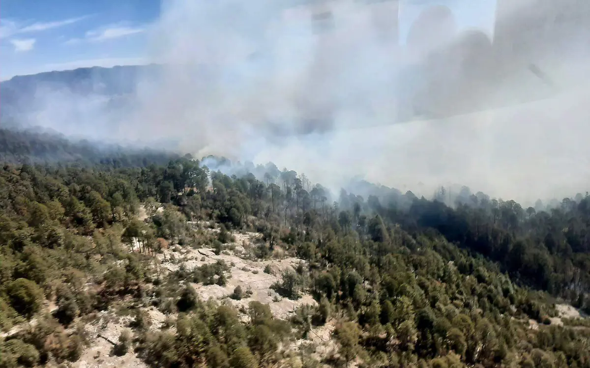 Incendios en el municipio de San Dimas, Durango