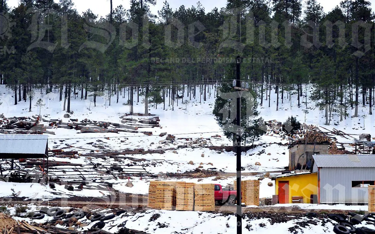 Cae nieve en la sierra de Durango