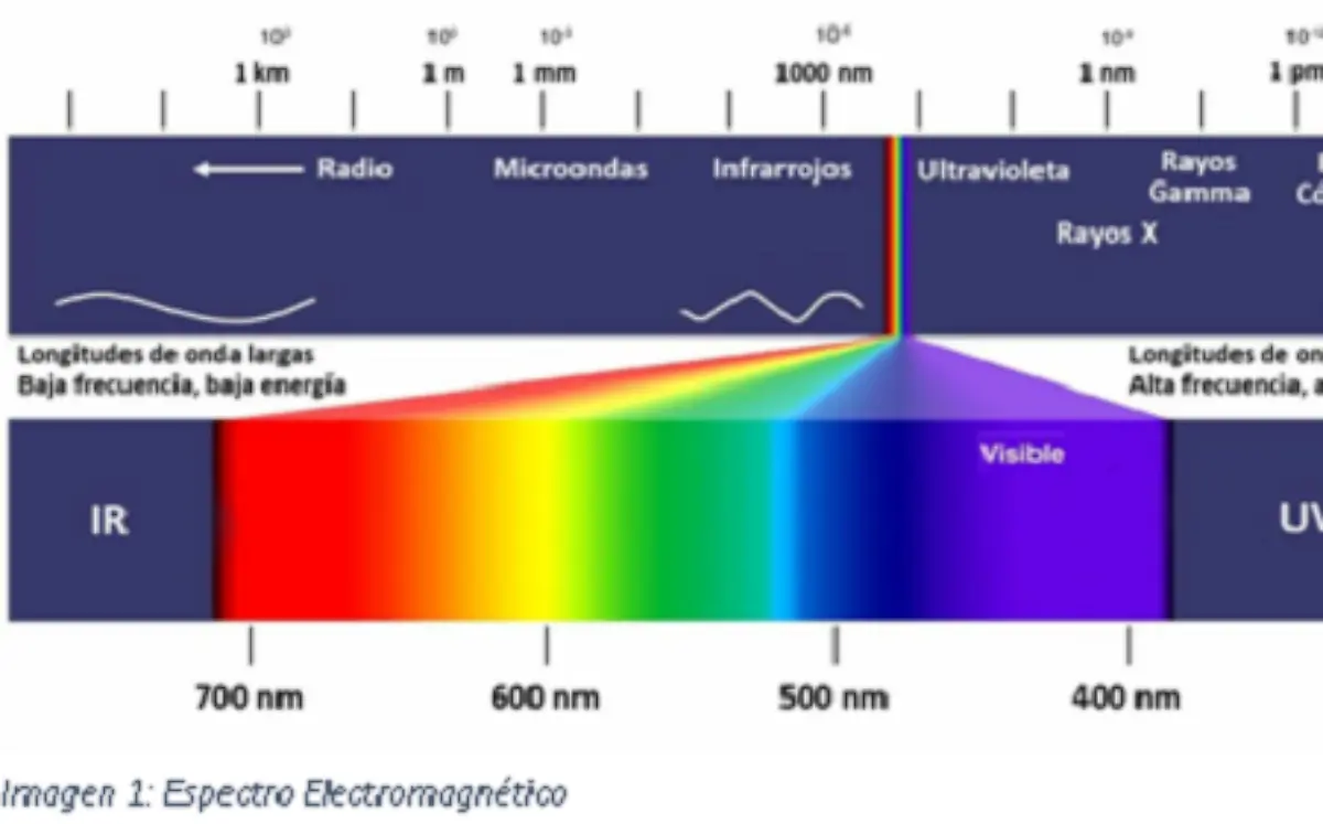 Orquesta del sonido y la luz #2