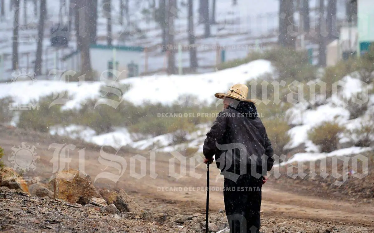 Cae nieve en la sierra de Durango