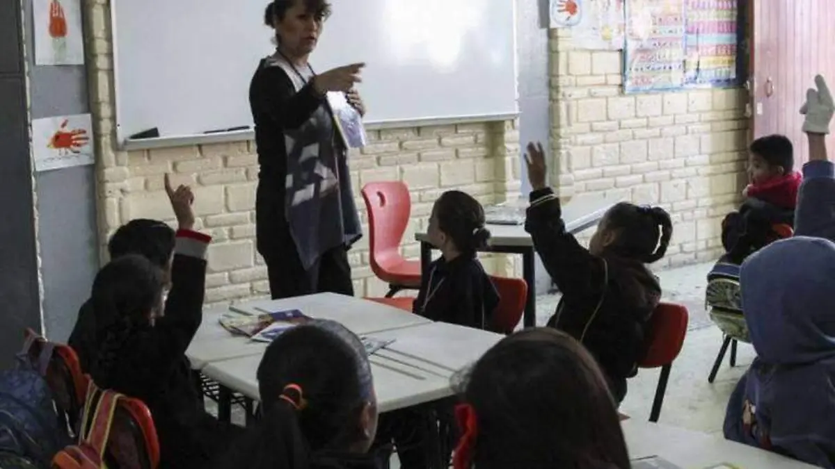 Docentes