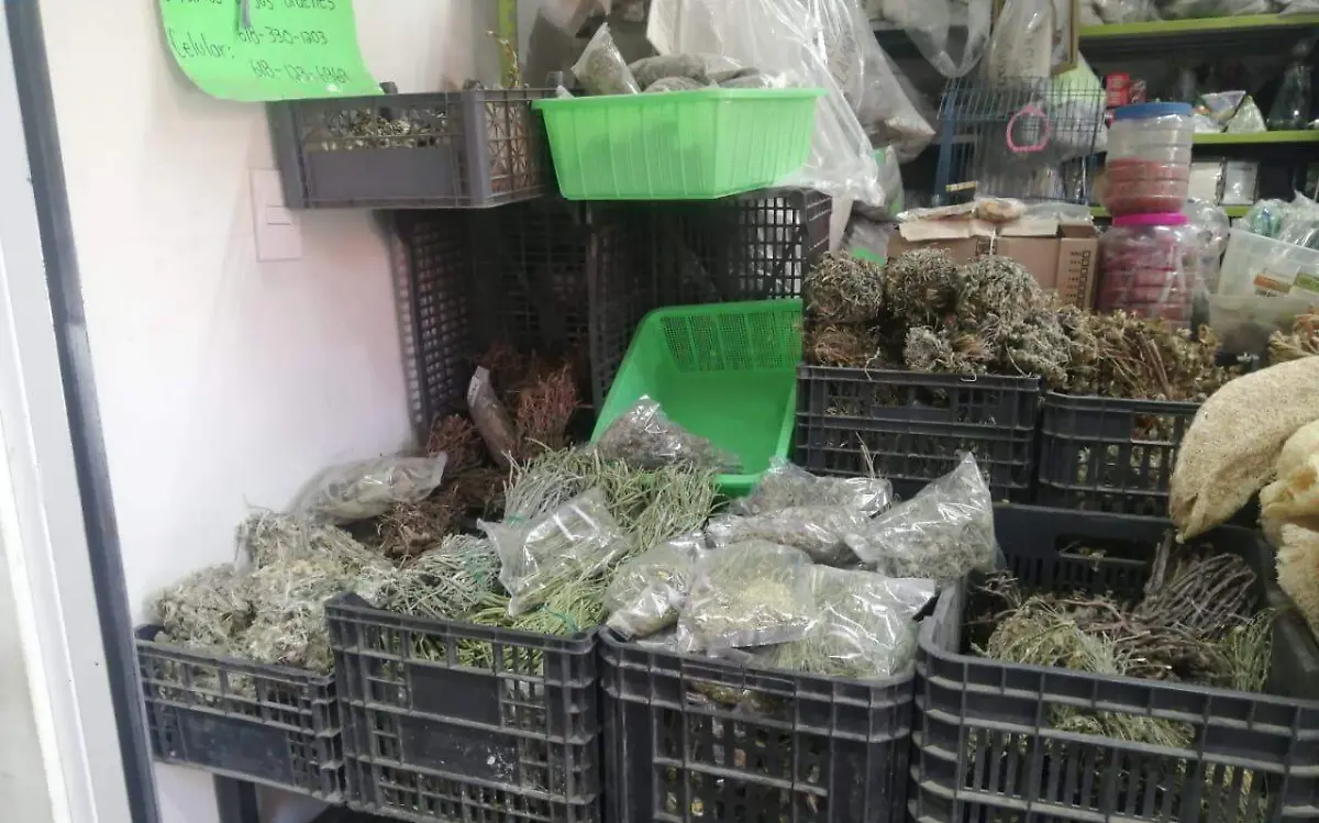 En Durango persiste el uso de hierbas medicinales para tratar enfermedades