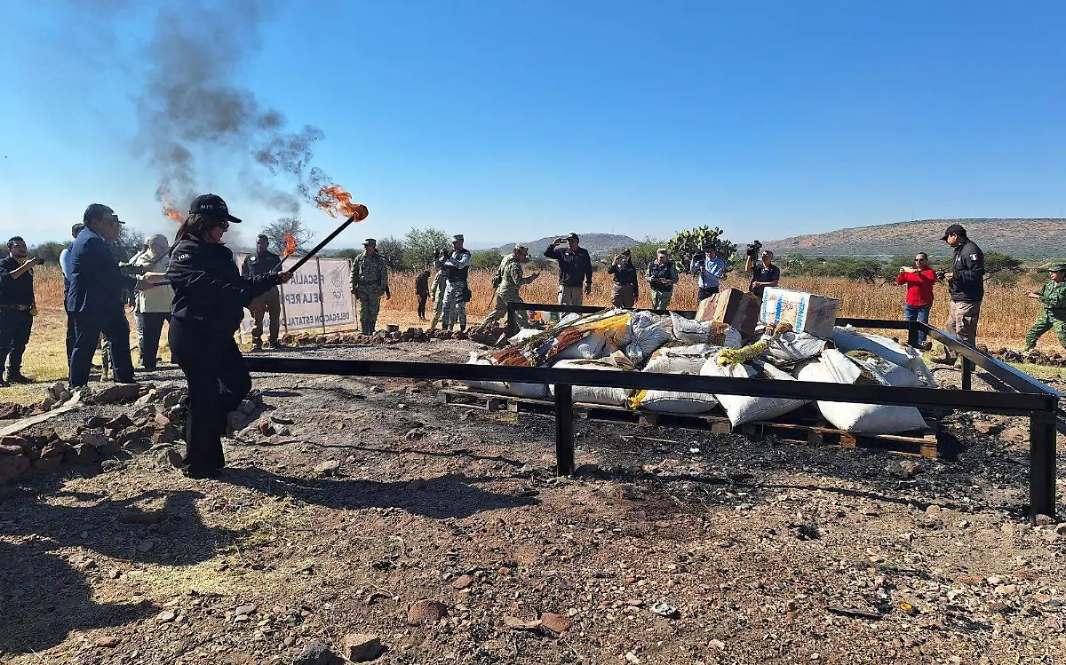Incineran casi media tonelada de droga