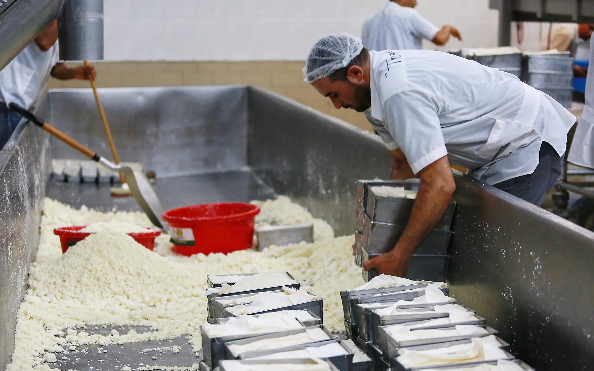 Famoso queso Excélsior, producido por menonitas en Durango