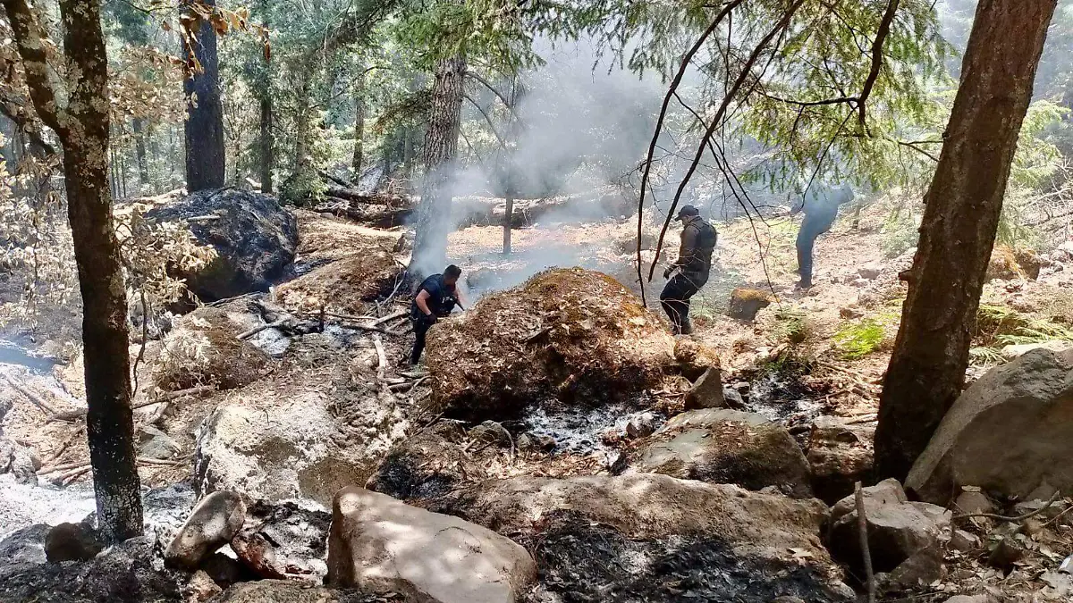 Controlados incendios forestales en San Dimas