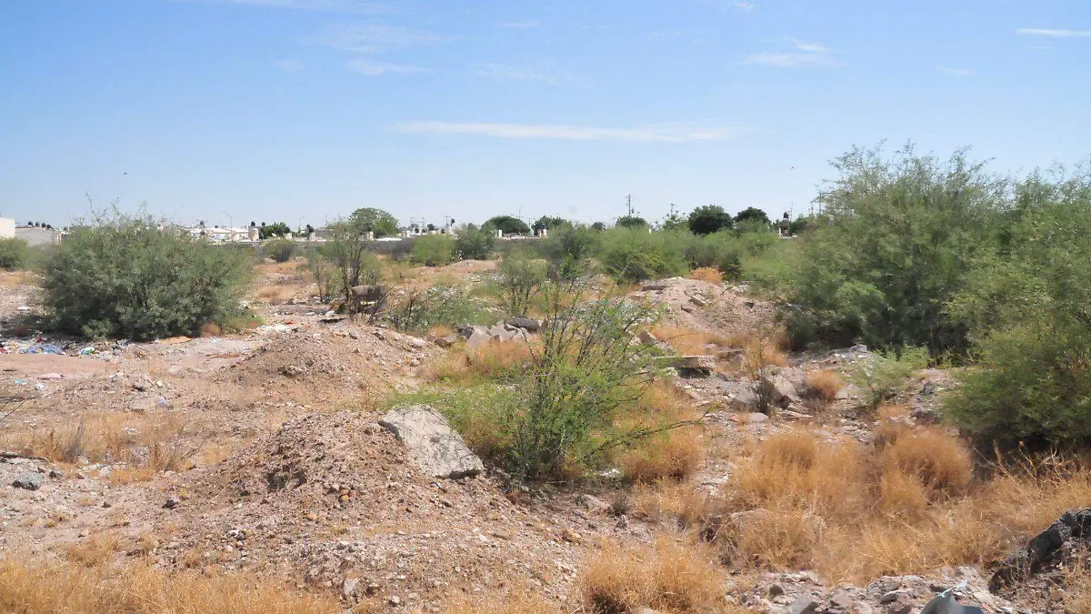 Se aproxima una Bodega Aurrera más para Gómez Palacio