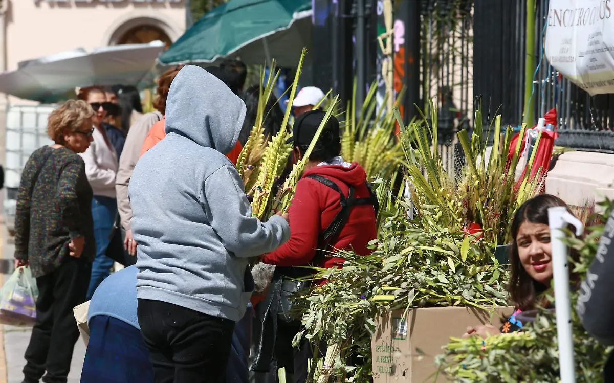 Domingo de ramos en Durango 2024