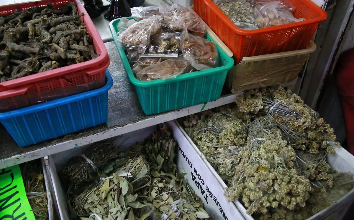 Venden hierbas medicinales en Durango 