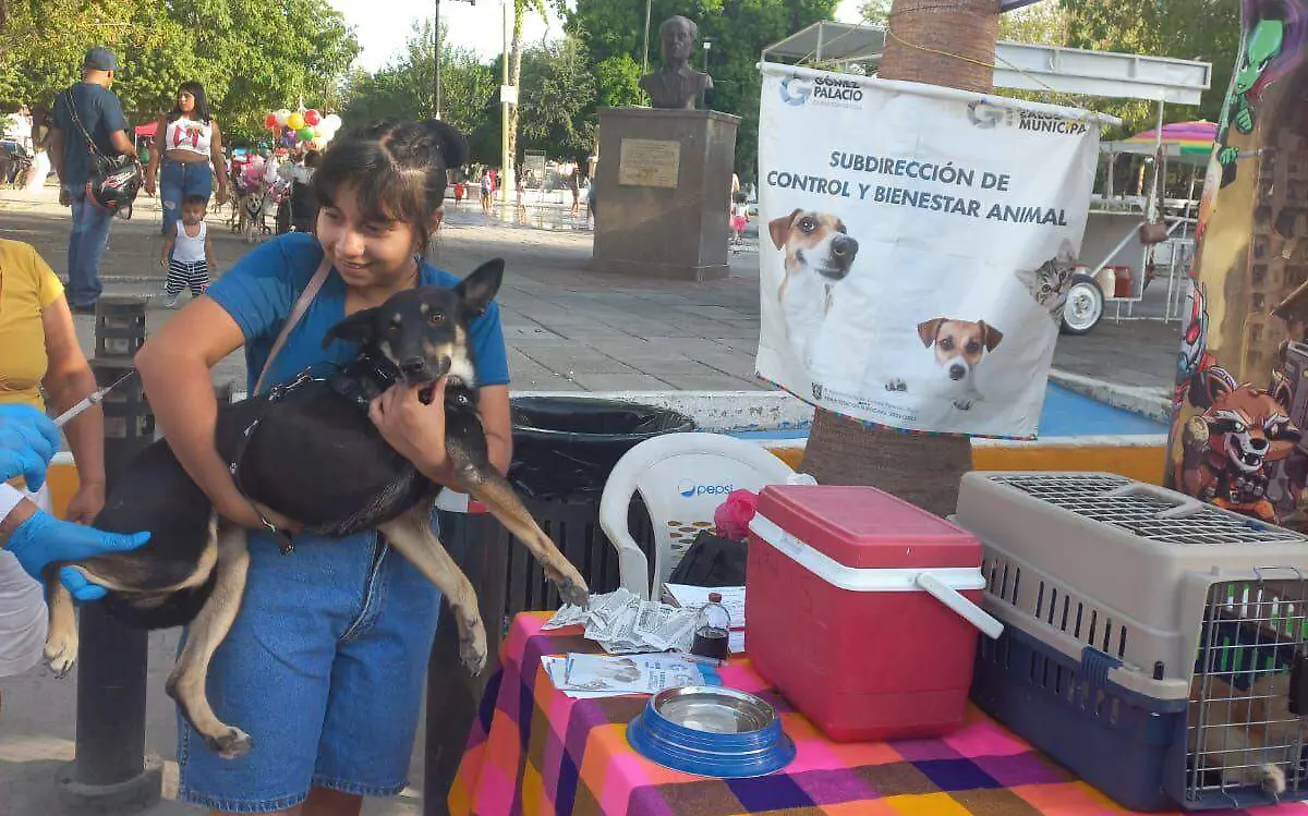 Ayuntamiento de Gómez Palacio invita a adoptar una mascota