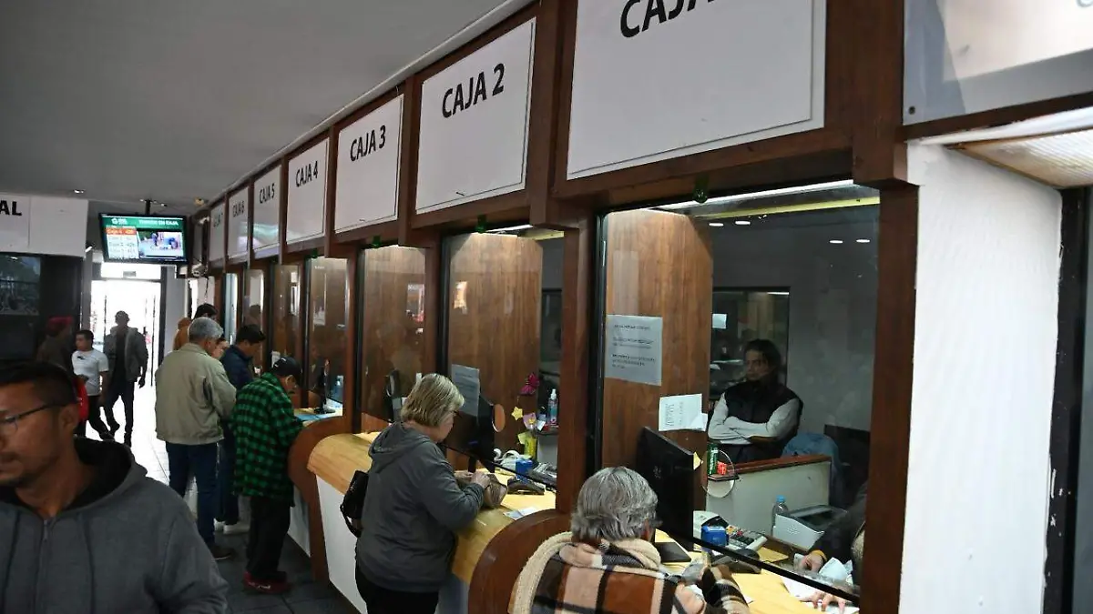 WhatsApp Image 2024-02-16 at 12.00.54