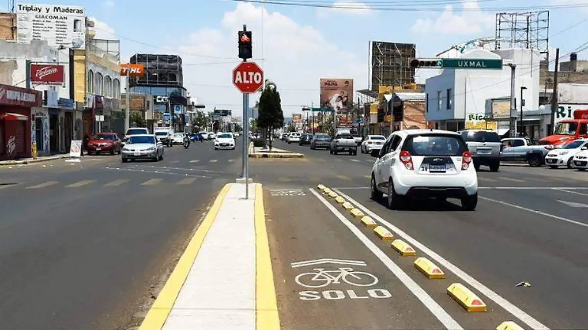 Ciclovías en mal estado y con obstrucciones: Regidor