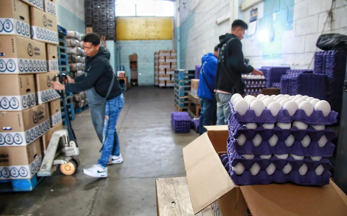 Locatarios del mercado de abastos Francisco Villa; vendedores de huevo