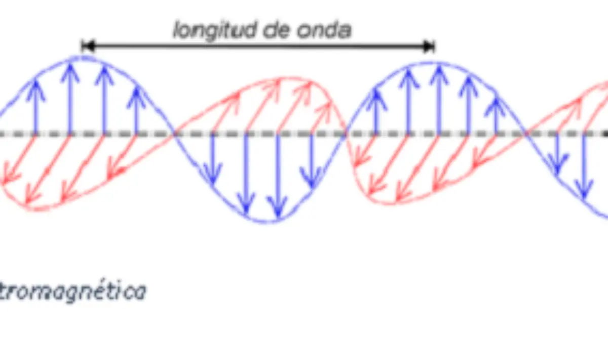 Orquesta del sonido y la luz #2