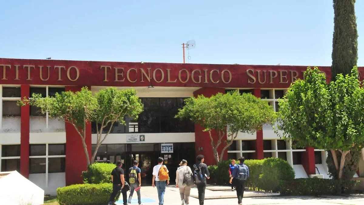 WhatsApp Image 2024-07-21 at 16.36.50