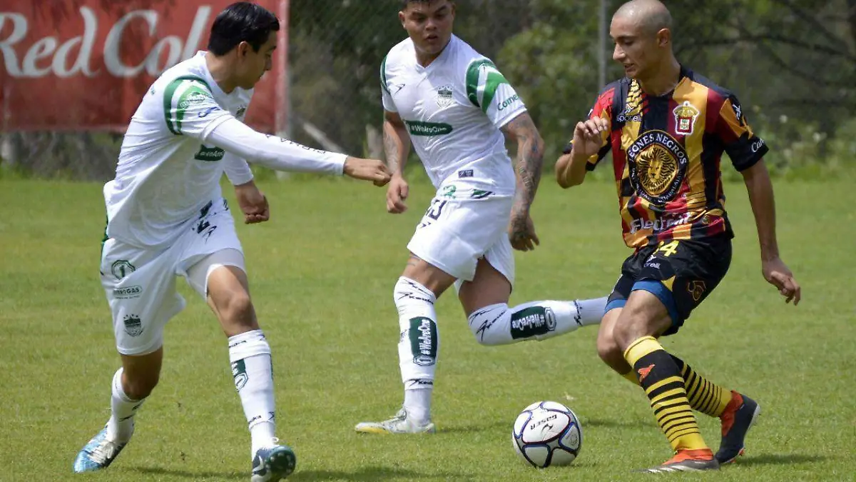 Alacranes divide puntos con Leones Negros