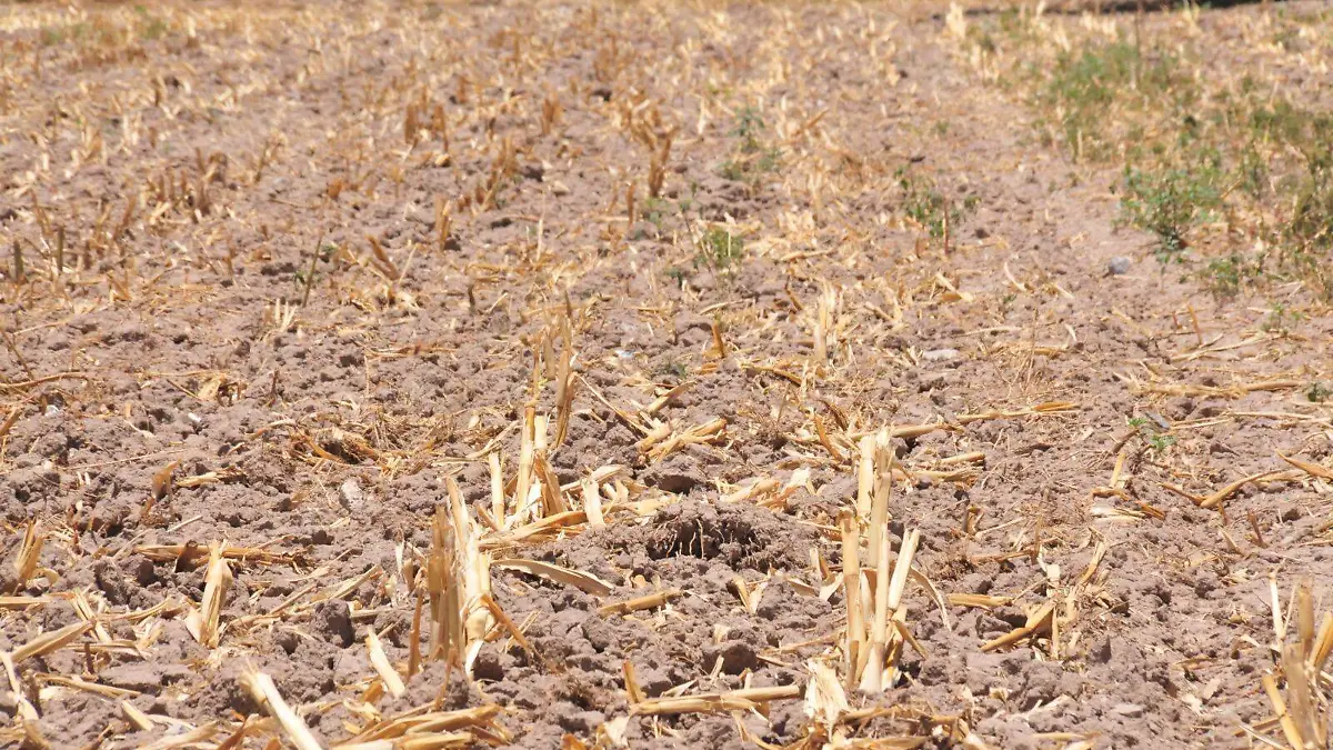 Durango recibe el programa municipal de Desarrollo Urbano 2024-2040