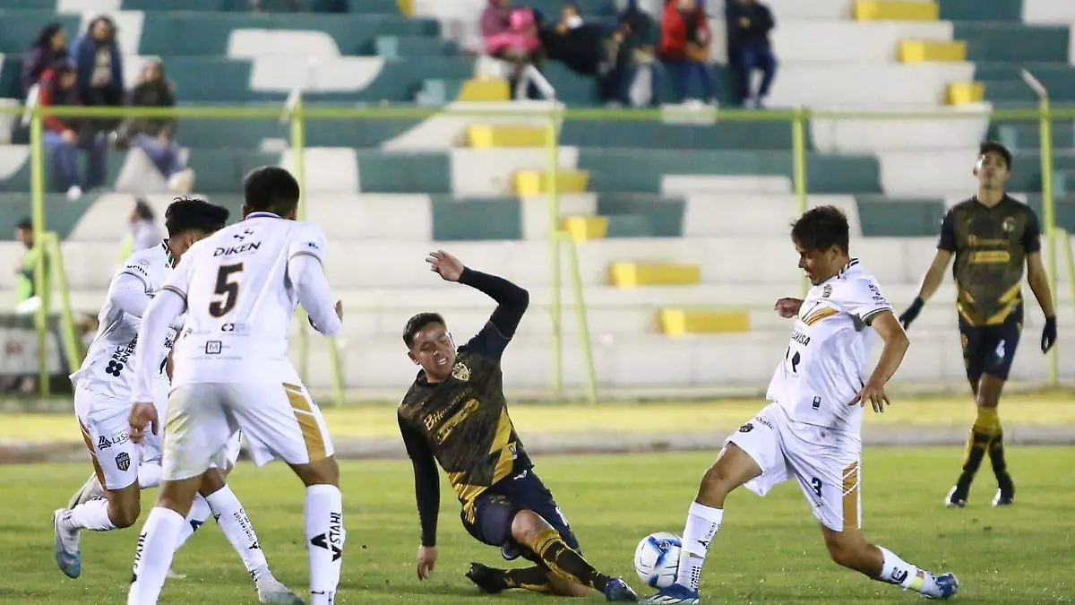 WhatsApp Image 2024-02-08 at 17.20.11 (2)