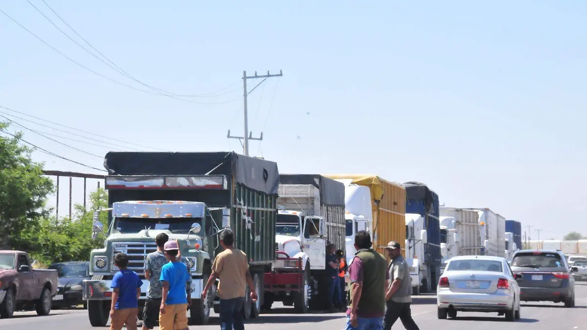 WhatsApp Image 2024-07-27 at 13.25.13