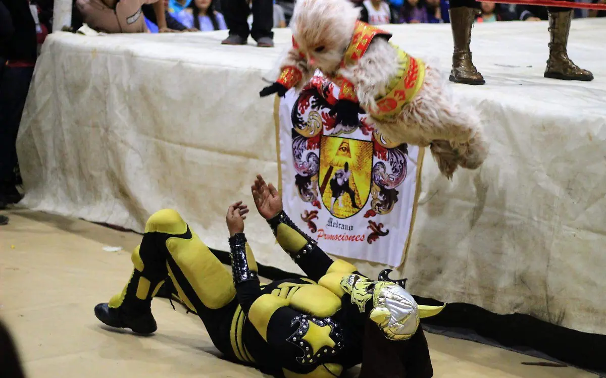 Campeonato mundial de lucha libre en Durango