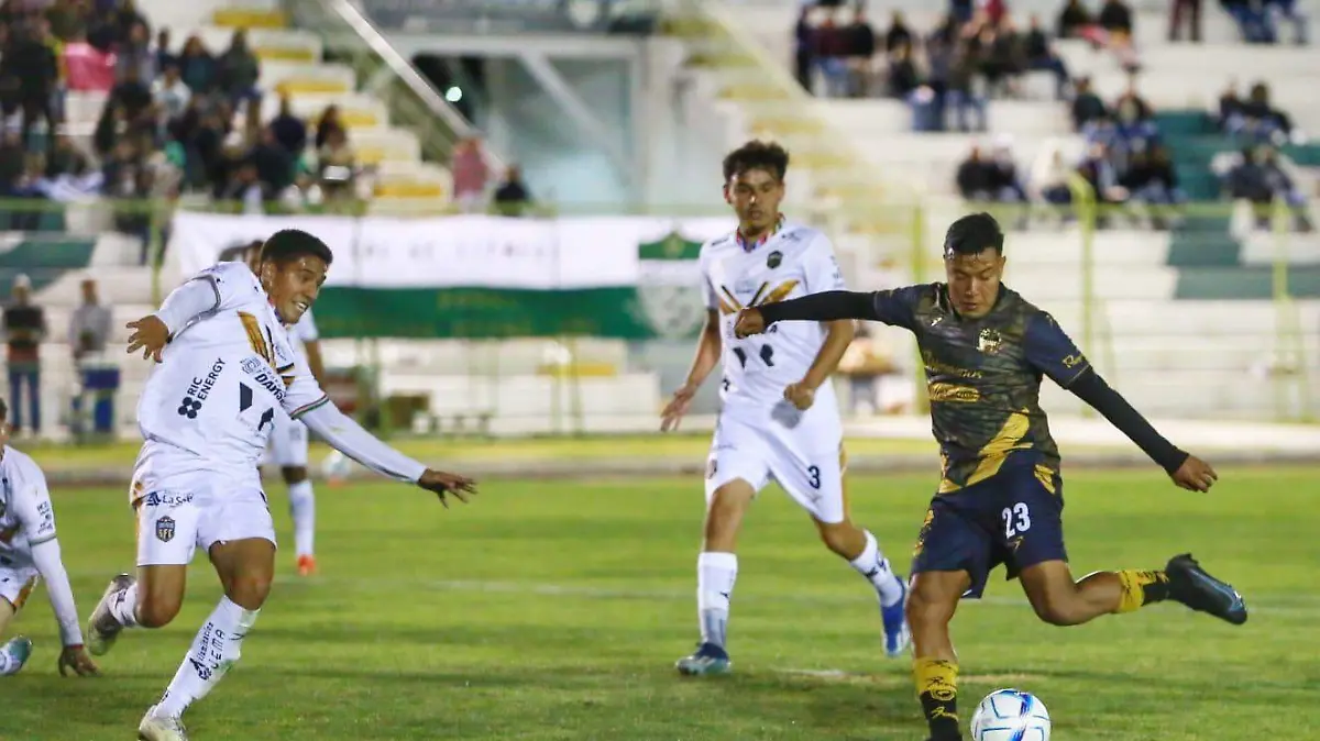 Los Alacranes de Durango igualaron a dos en su casa ante Saltillo