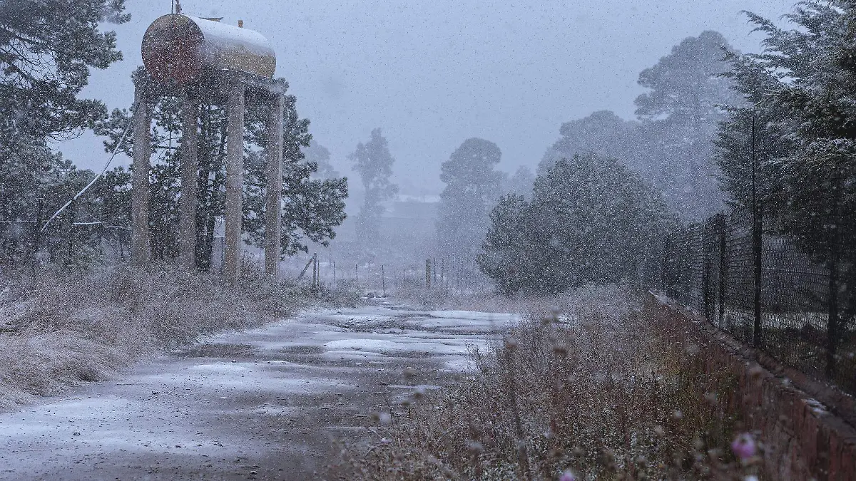 Fotógrafos retratan a Durango bajo la nieve [GALERÍA]