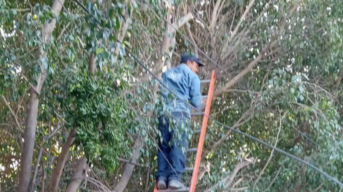Ayuntamiento mejora la eficiencia del alumbrado público en diversas colonias