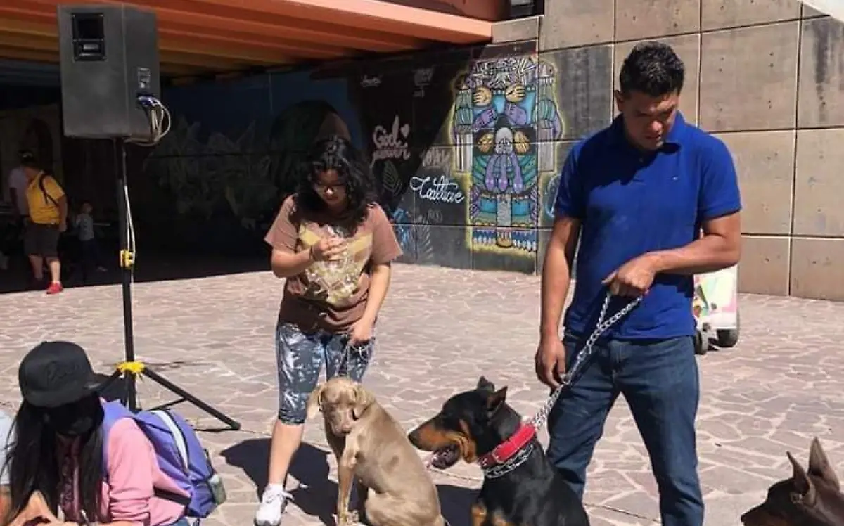 Caminata perruna… ¡y gatuna también!