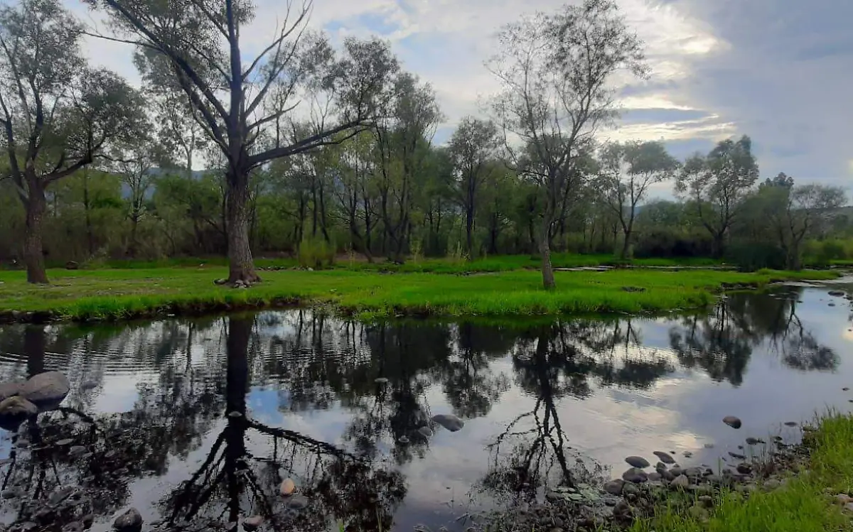 Hermoso paraje del río La Sauceda