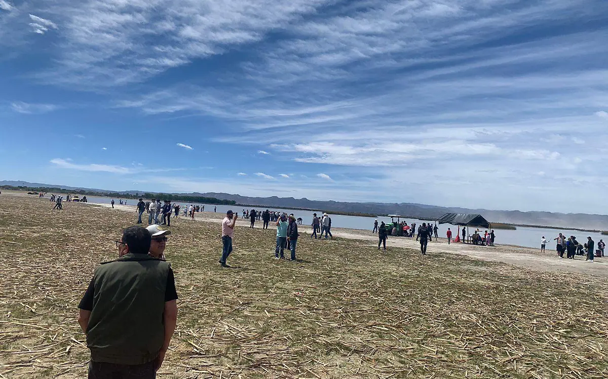 Neoidealenses y turistas disfrutan del eclipse solar