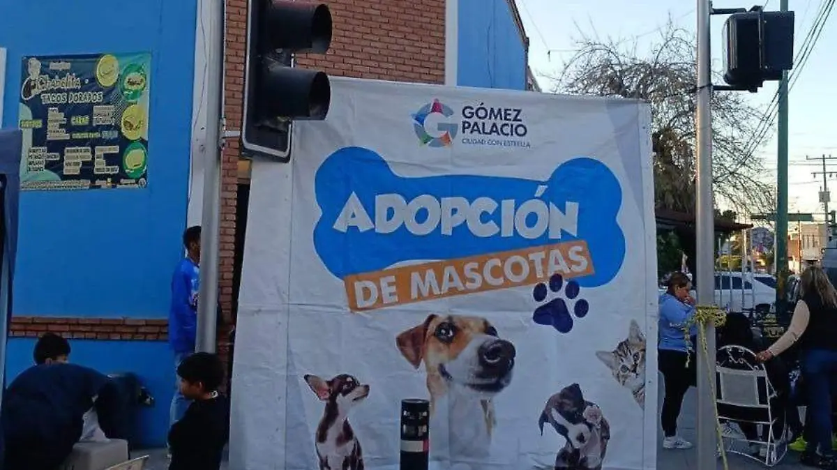 Control y bienestar animal impulsan programa de “Adopción de Mascotas”