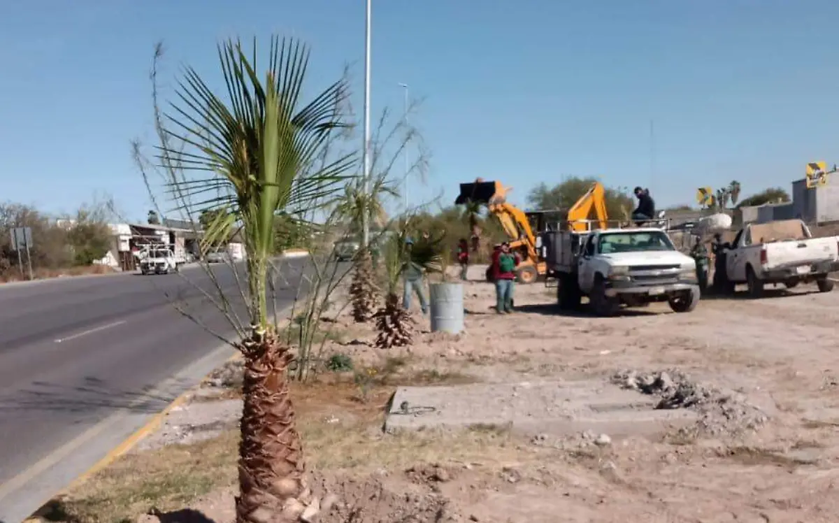 Servicios Públicos reforesta el Bulevar Ejército Mexicano