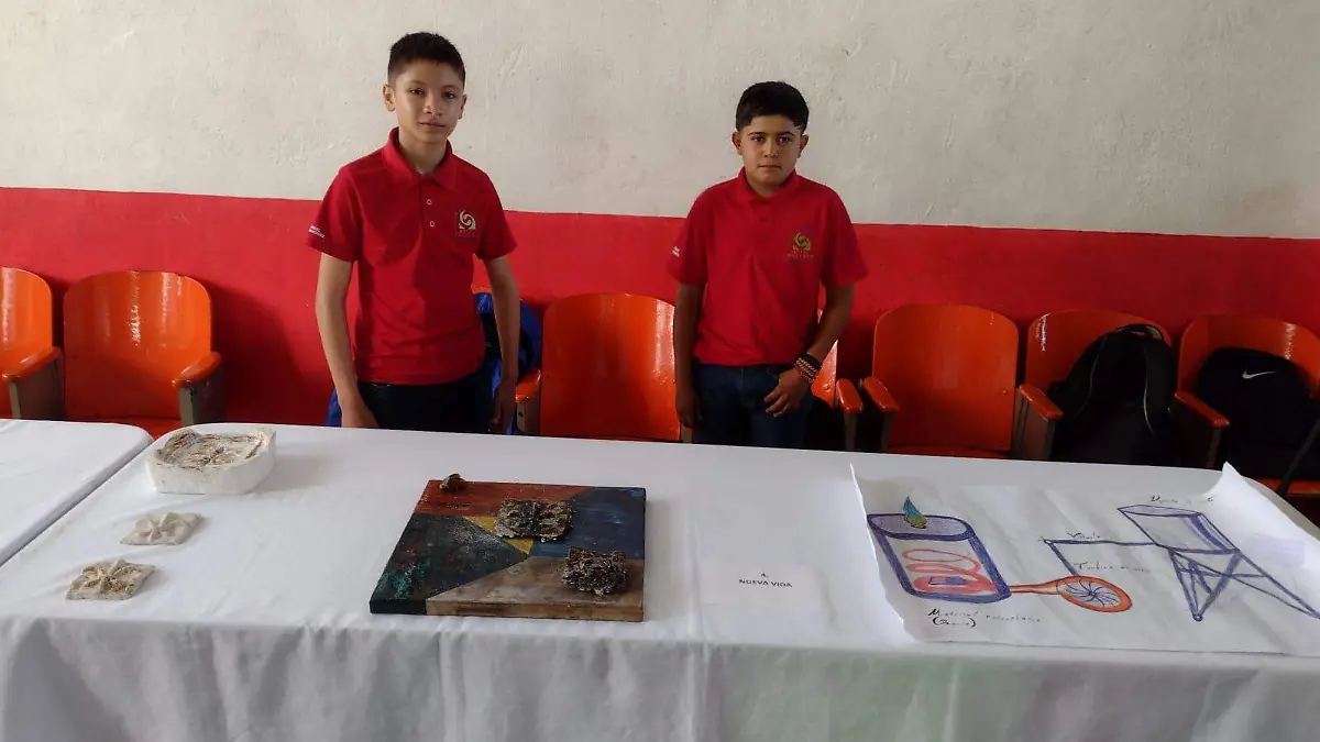 Exitosa participación de estudiantes canatlenses en concurso Jóvenes Creativos COCyTED