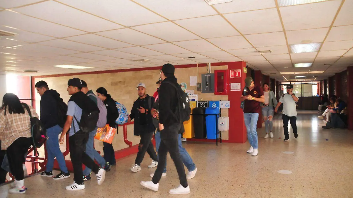 Certifican el sistema de Gestión Ambiental del ITSL