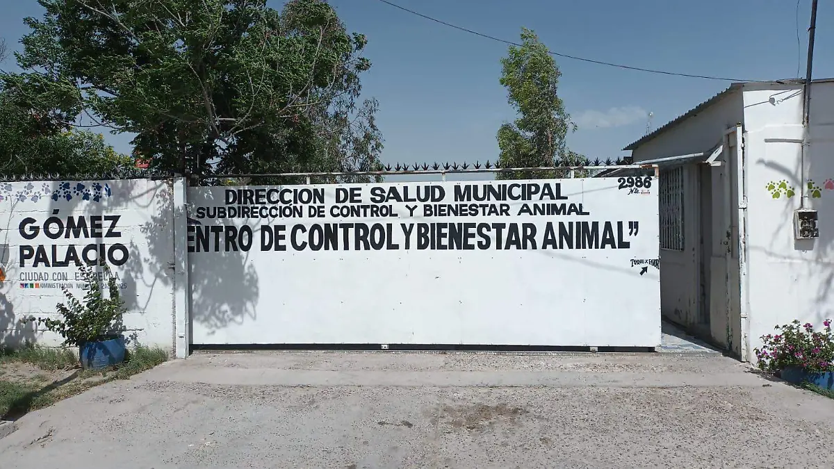 Atienden denuncia sobre maltrato animal en Gómez Palacio