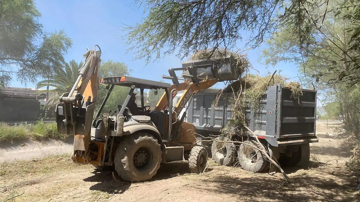 WhatsApp Image 2024-05-13 at 11.59.05 AM (1)