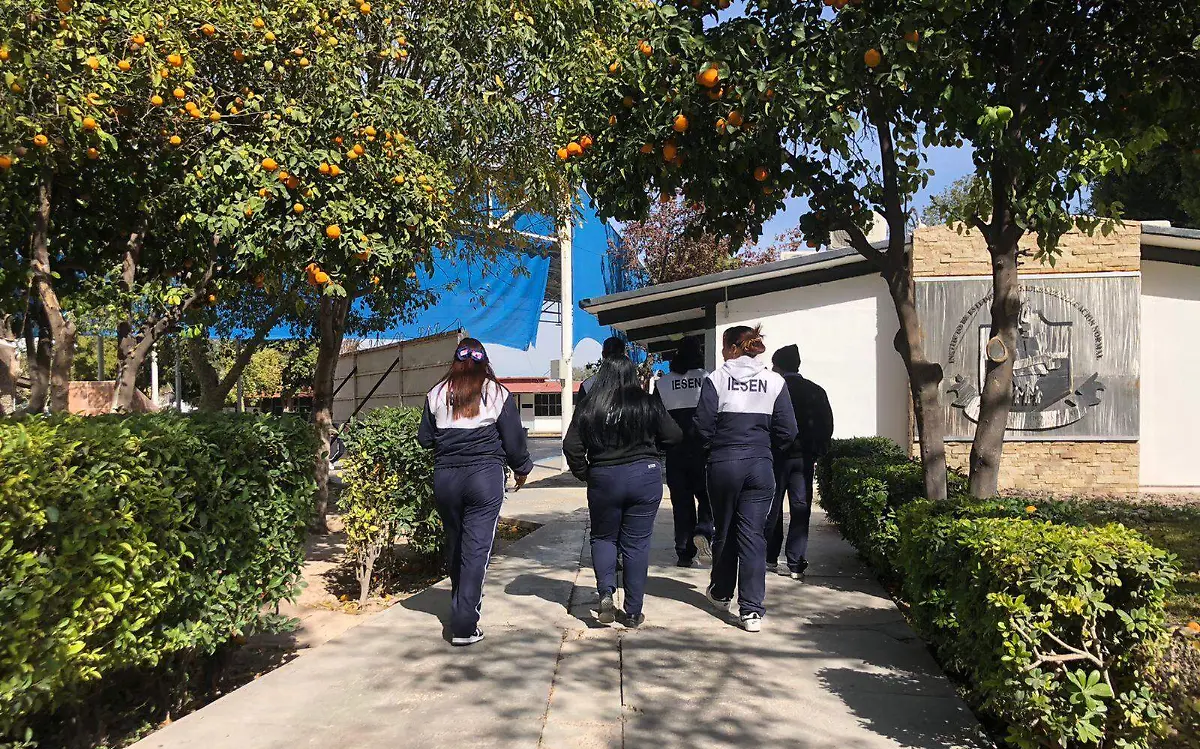 El IESEN contará con un doctorado en Educación