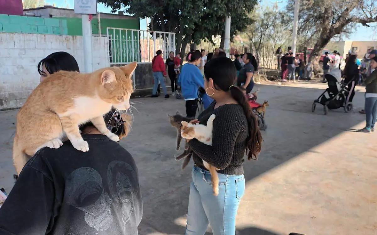 WhatsApp Image 2023-12-12 at 12.56.12